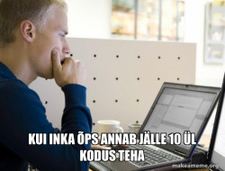 Programmer