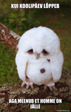 Sad Owl
