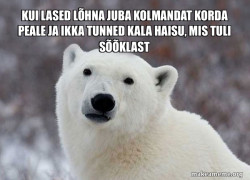 Popular Opinion Polar Bear