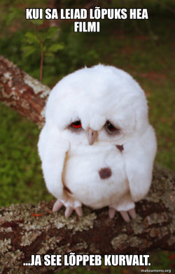 Sad Owl