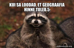 Evil Plotting Raccoon