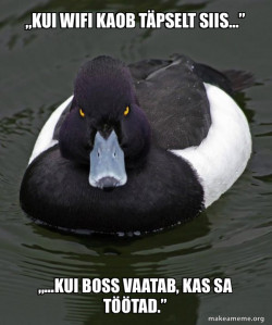 Revenge Duck ( Angry Advice Duck )