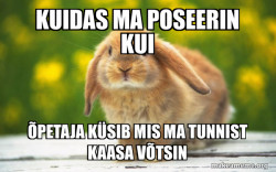 Regretful Rabbit