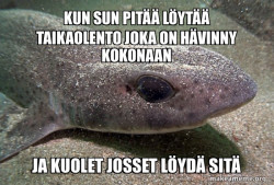 Dirty Joke Dogfish