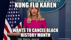 kung flu karen