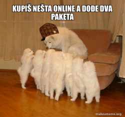Scumbag Storytelling Dog