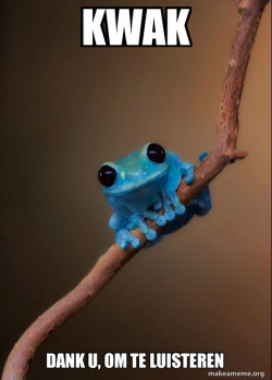 Small Fact Frog