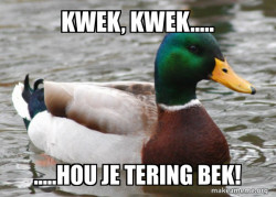 Actual Advice Mallard