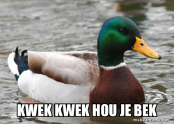 Actual Advice Mallard