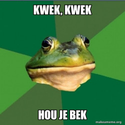 Foul Bachelor Frog