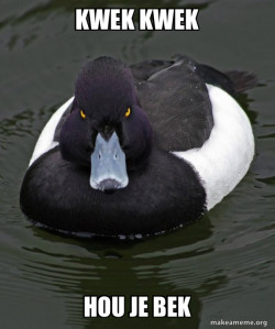 Revenge Duck ( Angry Advice Duck )