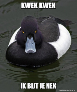 Revenge Duck ( Angry Advice Duck )