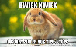 Regretful Rabbit