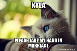 First World Cat Problems