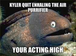 Bad Joke Eel