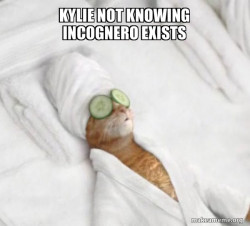 Pampered Cat Meme
