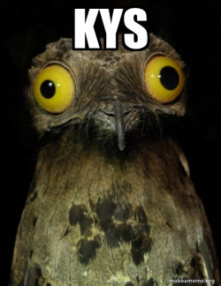 Weird Stuff I do Potoo