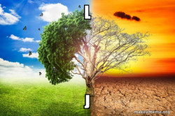 Climate Change / Global Warming