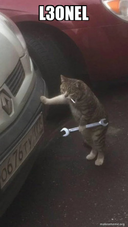 Mechanic Cat