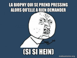 Meme 3