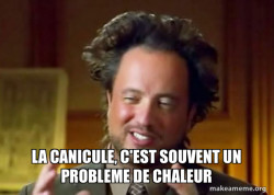 CANICULE
