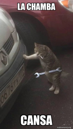 Mechanic Cat
