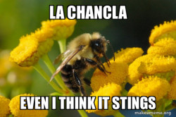 Good Guy Bee