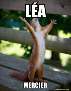 Happy Squirrel