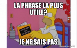 Computer Homer