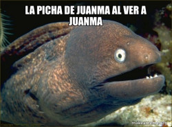 Bad Joke Eel