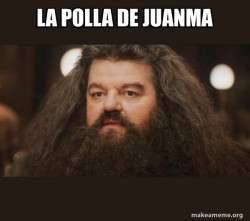Hagrid - I should not have said that