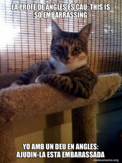The Most Interesting Cat in the World