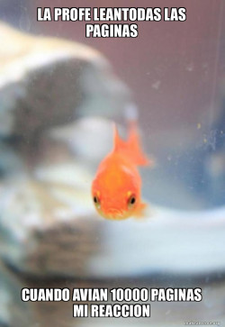 Grumpy Fish