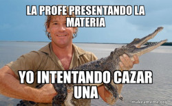 Steve irwin