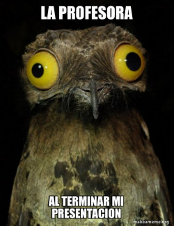 Weird Stuff I do Potoo