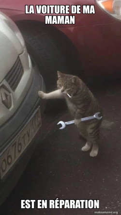 Mechanic Cat