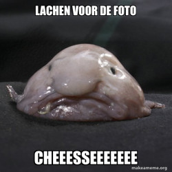 Blobfish
