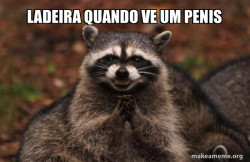 Evil Plotting Raccoon