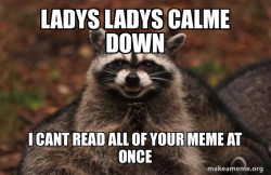 Evil Plotting Raccoon