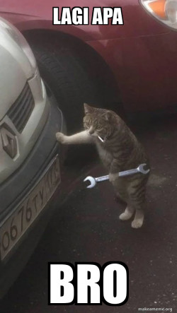 Mechanic Cat