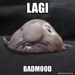 Blobfish