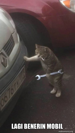 Mechanic Cat