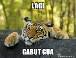 Confession Tiger