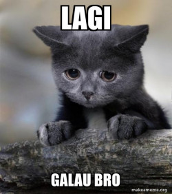 Confession Cat
