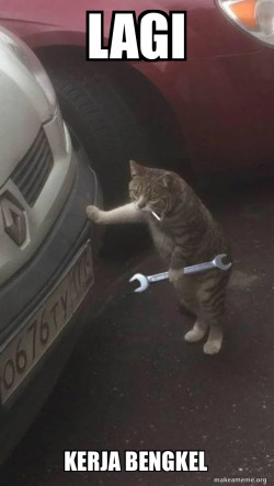 Mechanic Cat