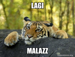 Confession Tiger