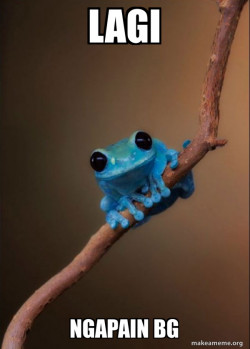 Small Fact Frog