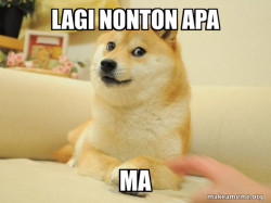 Doge