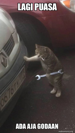 Mechanic Cat