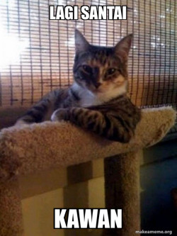 The Most Interesting Cat in the World